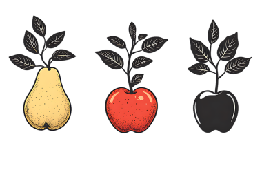Özellikleri sarı bir armut, kırmızı bir elma ve siyah bir elma, her birinden filizlenen, siyah bir armut üzerinde izole edilmiş, klasik stilize bir illüstrasyondur..