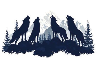 Bir vektör illüstrasyonunda dört siluetli kurt dağ sırası ile kayaların üzerinde uluyor ve arka planda çam ağaçları vahşi bir manzarayı çağrıştırıyor.