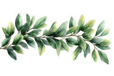 Narin bir suluboya resim, taze estetik projeleriyle tasarıma, davetiyeye veya dekoratif projelere doğal bir dokunuş eklemek için ideal yeşil yapraklı bir dal sunar.