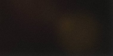 Kahverengi ve bronz renk eğilimli koyu kumlu bir arka plan. Görüntü ince bir dokuya ve basit, soyut bir kompozisyona sahiptir. Genel ruh hali tarafsız ve biraz karamsar..