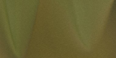 Zeytin yeşili desenli, kumlu bir arka plan. Işık ve karanlık gölgelerin ince bir gradyanı. Görüntüde yumuşak, organik bir his var..