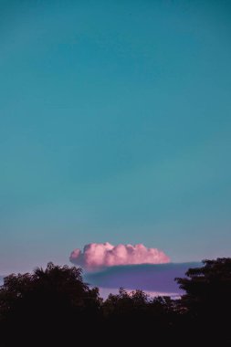 Pembe bulutlar zarif bir şekilde canlı bir deniz mavisi ve menekşe gökyüzünde süzülüyor. Gün batımında siluetli ağaçların üzerine büyüleyici gölgeler düşürüyor. Rüya gibi ve gerçeküstü bir atmosfer yaratıyor.