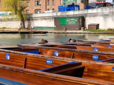 Cambridge, Cambridgeshire / Birleşik Krallık - 20 Mart 2025: Cambridge Şoför Gösterileri