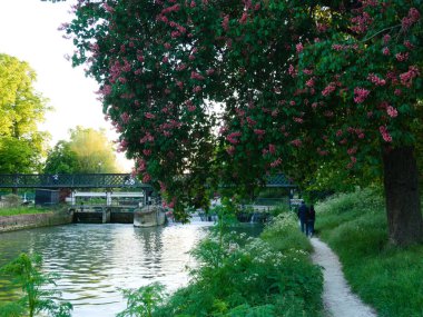 Cambridge, Cambridgeshire / Birleşik Krallık - 11 Mayıs 2025: Jesus Green in the evening. İnsanlar oturur, yürür ve dinlenir. Bahar ve Yaz.