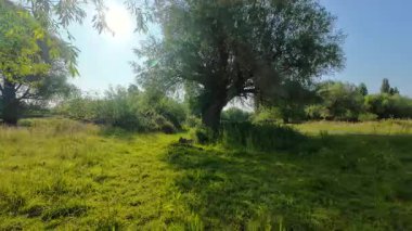Cambridge, İngiltere 'de Coe Fen' de yürüyoruz. 4K 'da çekilmiş.