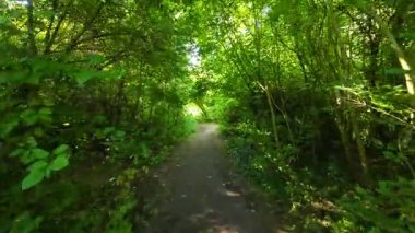 Cambridge, İngiltere 'de Koyun Yeşili' nde yürüyorum. 4K 'da çekilmiş.