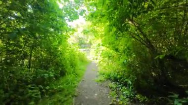 Cambridge, İngiltere 'de Koyun Yeşili' nde yürüyorum. 4K 'da çekilmiş.