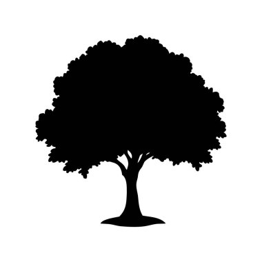 Beyaz arkaplan görünümünde yaprak döken bir ağacın siyah silüeti