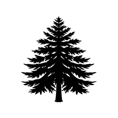 Çam Ağacının Silueti Vektör Biçiminde Beyaz Arkaplan Karşısında