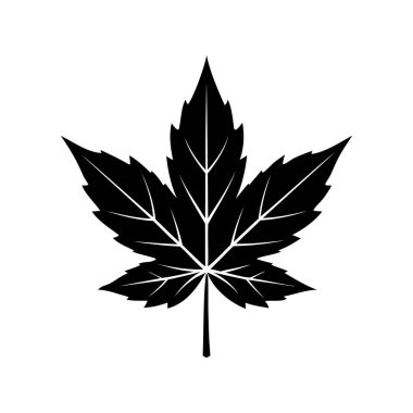 Biçimlendirilmiş akçaağaç yaprağı tasarımının siyah beyaz çizimi