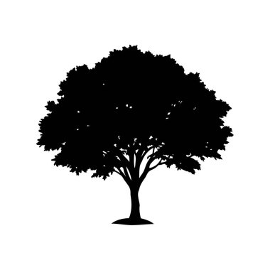 Koyu beyaz bir arkaplan karşısında tüm yapraklarıyla çarpıcı bir ağaç silueti.