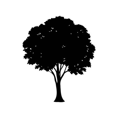 Koyu beyaz bir arkaplana karşı bir ağacın yemyeşil siyah silüeti