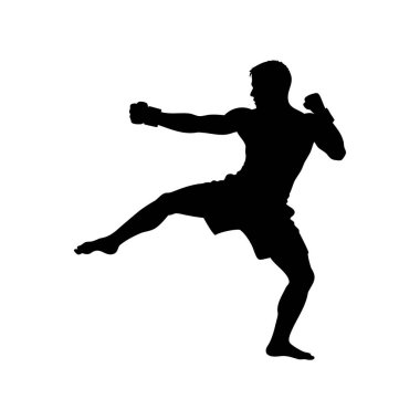 Havada tekme atan bir erkek dövüş sanatçısı silueti.