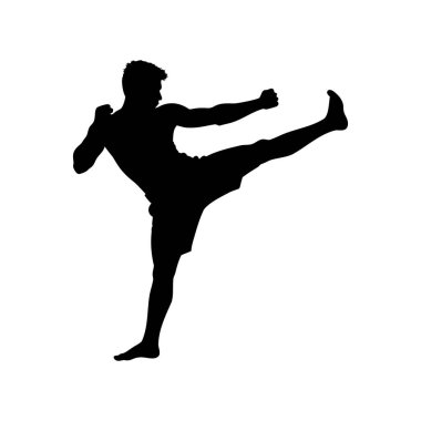 Bir dövüş sanatçısının silueti bir tekme, güç ve kararlılık sergiliyor.