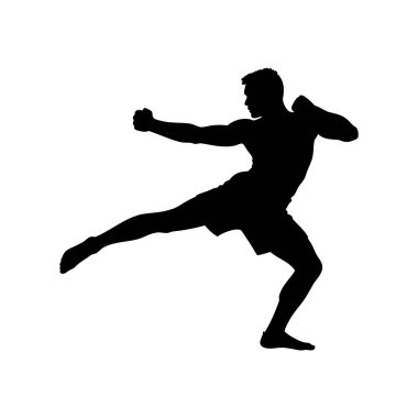Dövüş sanatlarını icra eden bir adamın silüeti.
