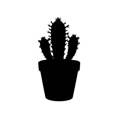 Saksı kabında üç tane kaktüsün zarif siyah silueti.