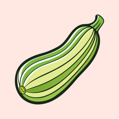 Pembe Arkaplanda Yeşil Kabak Sebzesinin Çizgi Film Biçimi Çizimi