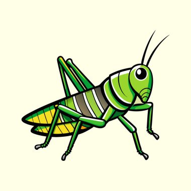 Yaz Nesneleri Temiz Çizgiler ve Parlak Renklerle Çizgi Film Biçimi Martı Çizimi