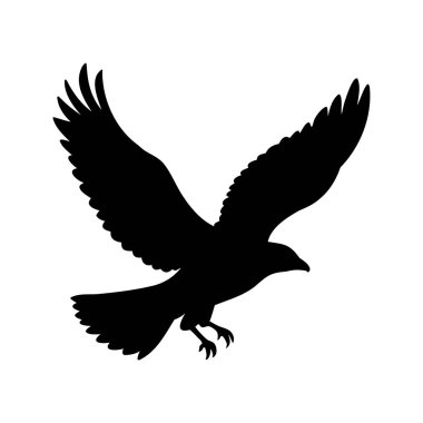 Görkemli bir yırtıcı kuşun siyah silueti havada süzülüyor