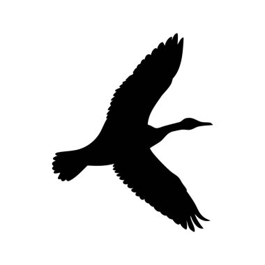 Büyük bir karabatak kuşunun silueti zarif bir şekilde gökyüzünde süzülüyor.