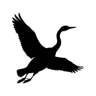 Kanadalı Kaz 'ın Silueti Açık Kanatlarla Uçuyor