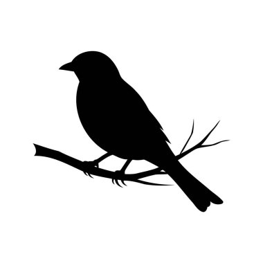 Küçük bir kuşun silueti beyaz bir arkaplana karşı bir dala tünemiş