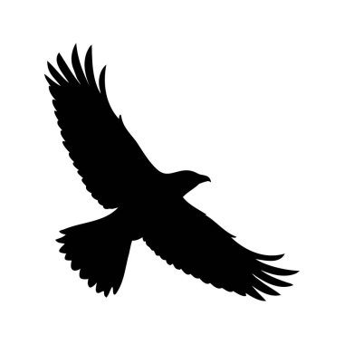 Görkemli bir kartalın silueti gökyüzünde kanatlarını açarak süzülüyor.