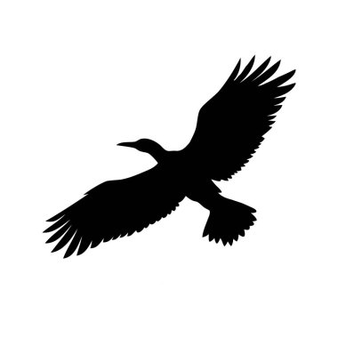Beyaz arka planda uçan bir kuşun silüeti