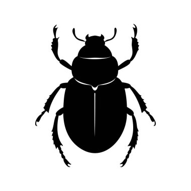 Beyaz bacaklı ve antenli Scarab Beetle 'ın silueti.