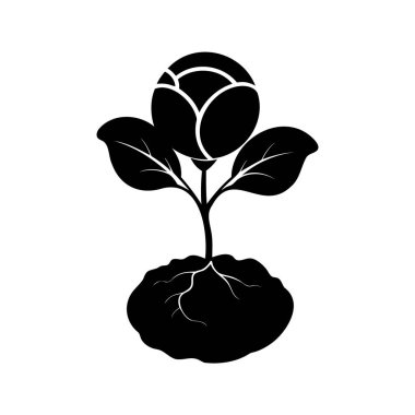 Çiçek tomurcuğunun silueti Dünya 'dan Korunmasız Köklerle Büyüyor