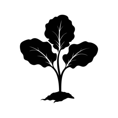 Geniş yapraklı genç bir bitkinin zarif siyah silueti.