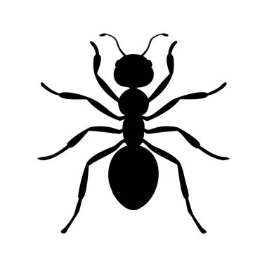 Altı bacaklı, iki antenli bir karıncanın basit siyah silüeti.