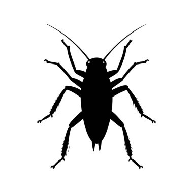 Beyaz arkaplanda bir hamamböceğinin yüksek kontrastlı siyah beyaz silueti