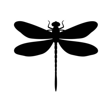 Karmaşık şekilli kanatları ve uzun gövdesi olan bir yusufçuğun siyah silueti.