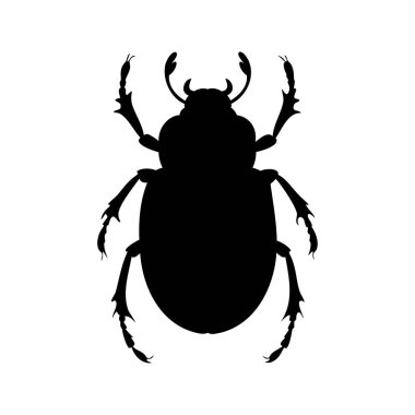 Bir Scarab Beetle 'ın silueti, Diriliş ve Yenilenmenin Eski Sembolü