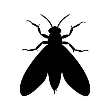 Beyaz arka planda ayrıntılı bacakları ve kanatları olan bir güve silueti