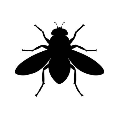 Uçan Böceğin Silueti, Beyazlara Karşı Siyah Özet