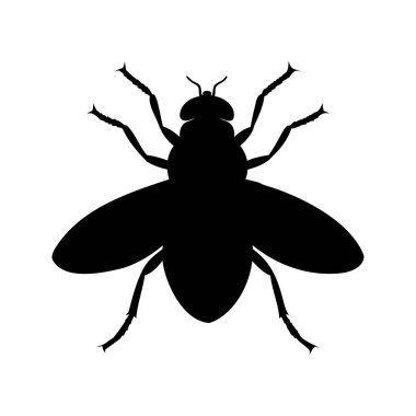Karmaşık bacakları ve kanat tasarımı olan bir sineğin ayrıntılı silueti.