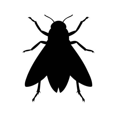 Uçan bir böceğin silueti, muhtemelen bir sinek, beyaz arka planda.