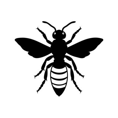 Beyaz arka planda siyah bir eşekarısı silueti, böcek vektör sanatı