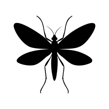 Geniş kanatlı ve narin bacaklı bir güve silueti.