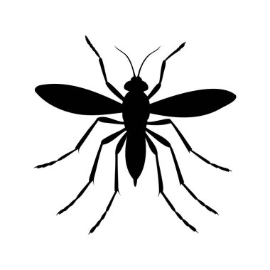Bir sivrisineğin siyah silueti, böcek, kanatlı vektör çizimi