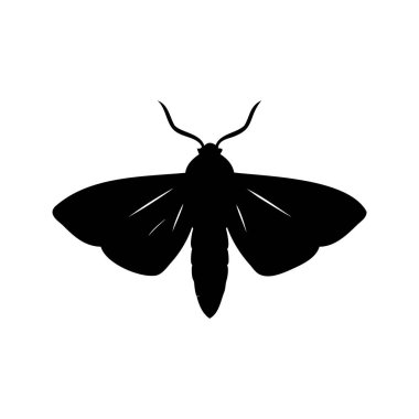 Beyaz arka planda ayrıntılı kanatları ve antenleri olan bir güve silueti