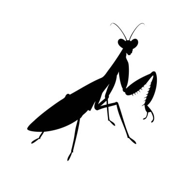 Peygamberdevesinin dramatik silueti, temiz beyaz bir arka planda izole edilmiş.