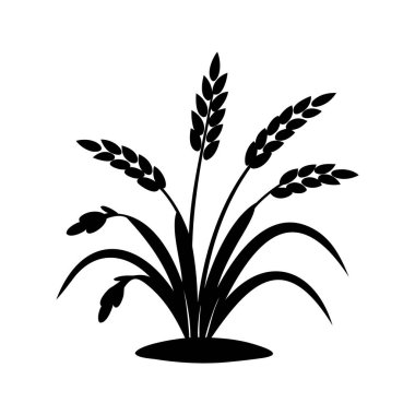 Siluet görüntüsü buğday ve yaprak gibi buğday yetiştiren ekin.