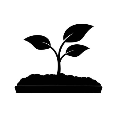 Toprakta büyüyen küçük bir bitkinin siyah beyaz çizimi