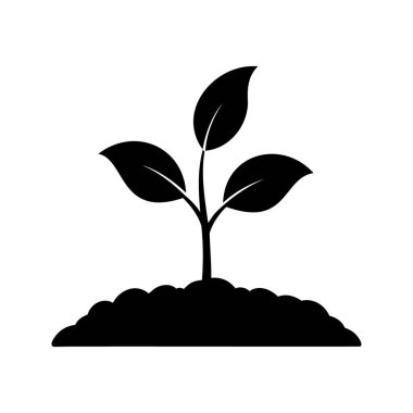 Topraktan çıkan bir bitkinin siyah silueti, beyaz üzerinde izole edilmiş.