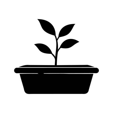 Dikdörtgen bir kabın içinde filizlenen genç bir bitkinin silueti.