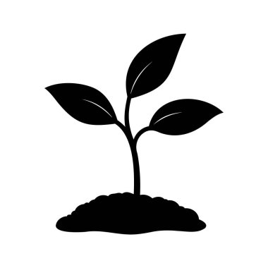 Siyah ve beyaz filizlenme, bitki yaşamının başlangıcını temsil ediyor.