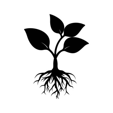Kökleri ve Beyaz Arkaplanda Yaprakları Olan Genç Bir Bitkinin Şekillendirilmiş Silueti